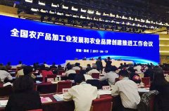 刘海铭:深度导入培